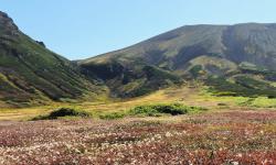 Featured image of post Asahidake